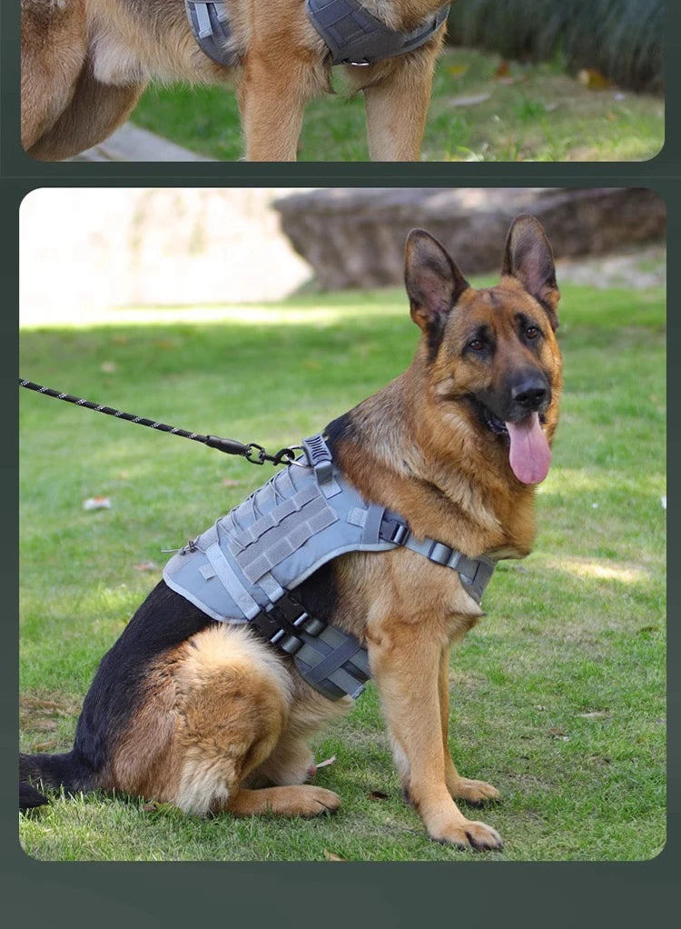 Dog Harness,Tactical Dog Harness with Handle,No-Pull Service Dog Vest with Hook & Loop Panels,Adjustable Dog Vest Harness for Wa
