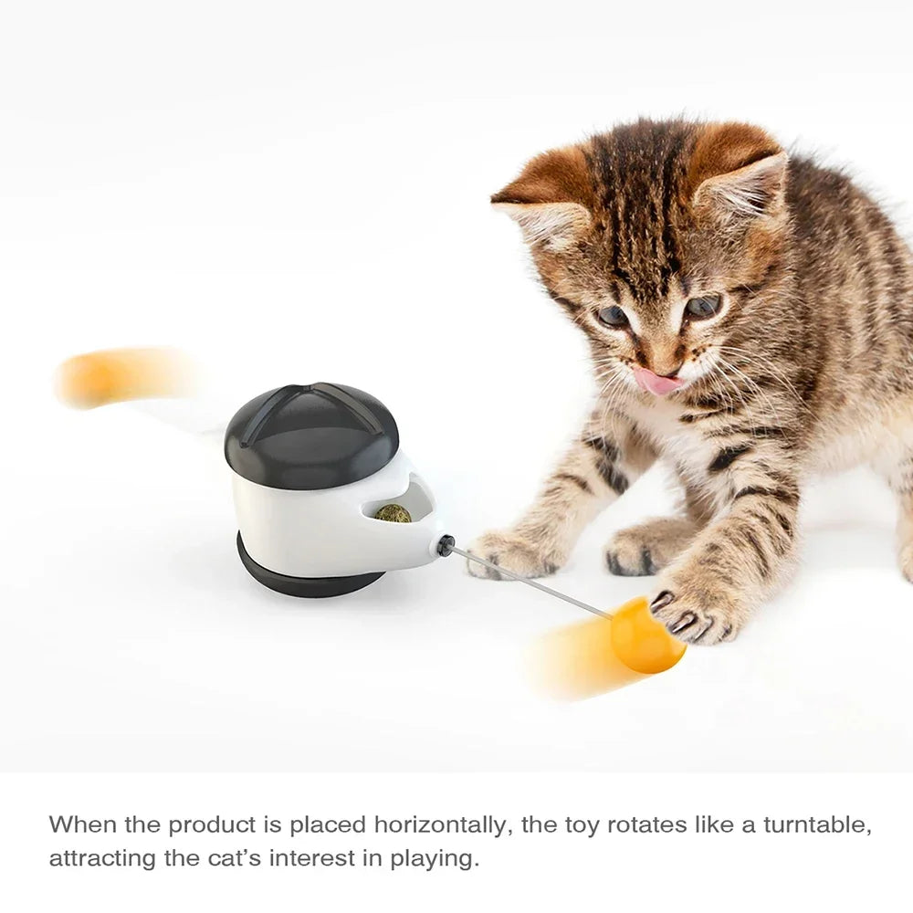 Funny Pet Products for Dropshipping, Interactive Balance Car Cat Chasing Toy With Catnip, Tumbler Swing Toys for Cats Kitten