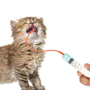 Pet Feeding Syringe Set with Red Soft Tube, 10/30/60ml, Three Sizes, Fr8/Fr14/Fr20 Soft Tube, Tool for Feeding Milk and Medicine to Young Pets, Cats, and Dogs, Non-Medical Use