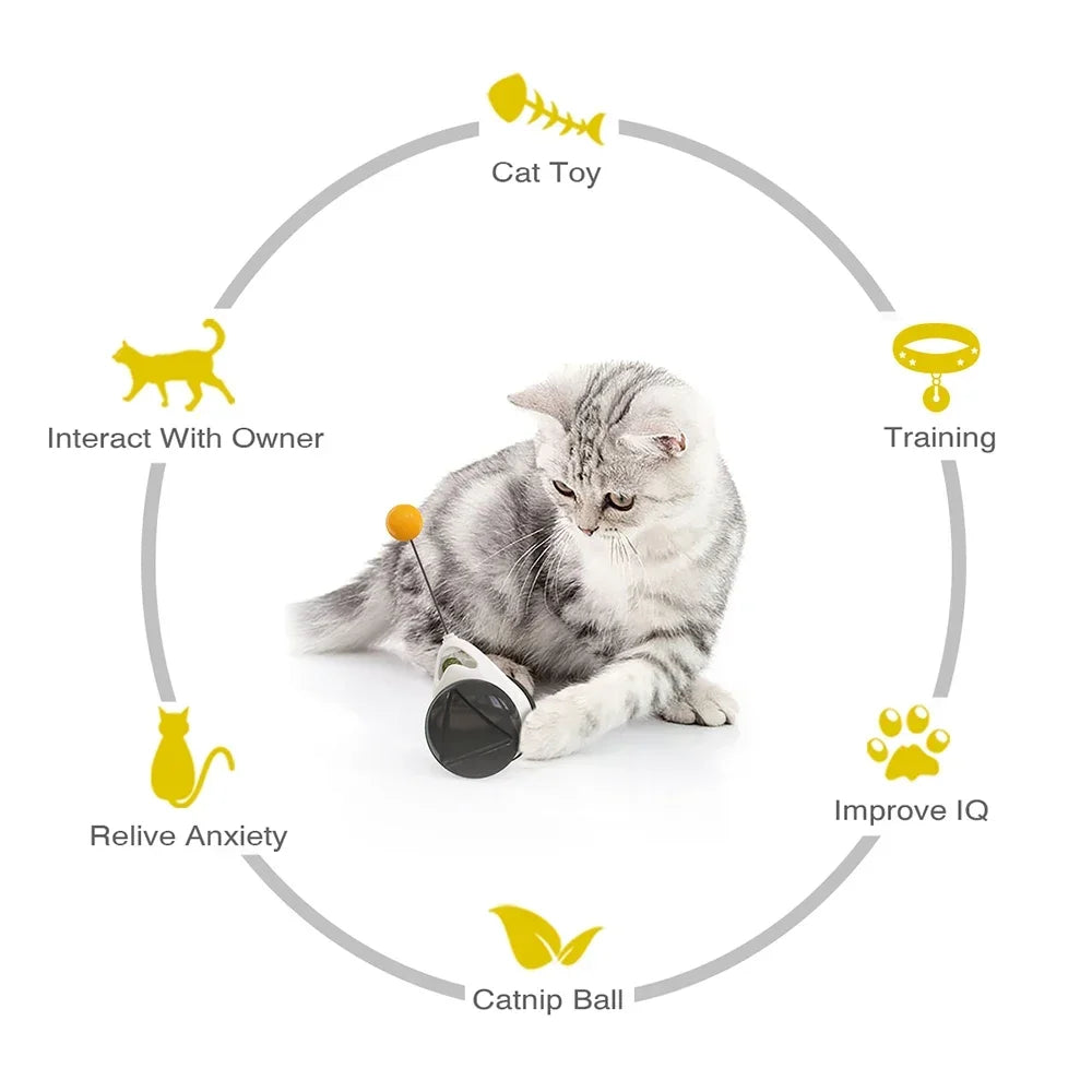 Funny Pet Products for Dropshipping, Interactive Balance Car Cat Chasing Toy With Catnip, Tumbler Swing Toys for Cats Kitten
