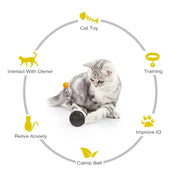 Funny Pet Products for Dropshipping, Interactive Balance Car Cat Chasing Toy With Catnip, Tumbler Swing Toys for Cats Kitten