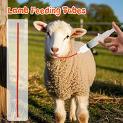 Pet Feeding Syringe Set with Red Soft Tube, 10/30/60ml, Three Sizes, Fr8/Fr14/Fr20 Soft Tube, Tool for Feeding Milk and Medicine to Young Pets, Cats, and Dogs, Non-Medical Use