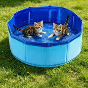 Cooling Splash Pool for Cats – Keep Your Cat Active & Happy