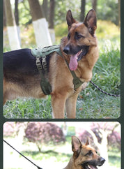 Dog Harness,Tactical Dog Harness with Handle,No-Pull Service Dog Vest with Hook & Loop Panels,Adjustable Dog Vest Harness for Wa