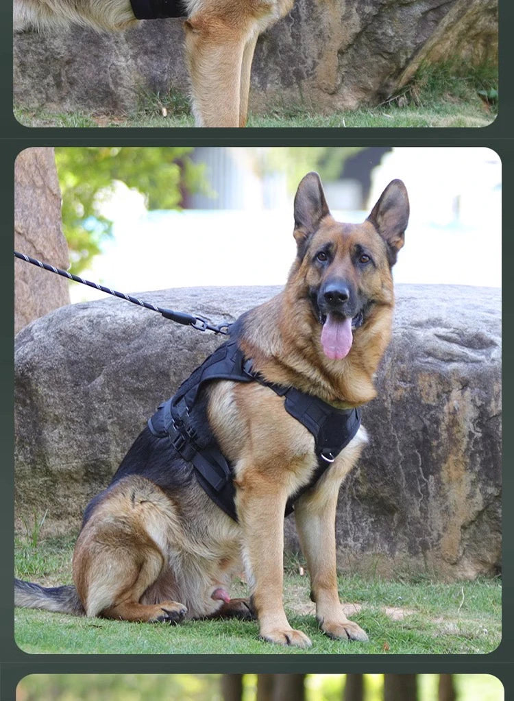 Dog Harness,Tactical Dog Harness with Handle,No-Pull Service Dog Vest with Hook & Loop Panels,Adjustable Dog Vest Harness for Wa