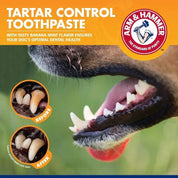 Pet Cleaning Tools Kit Dog Gum Care Products Kit Reduces Plaque & Tartar Buildup for Pet Universal Toothpaste Toothbrush Set