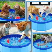 Cooling Splash Pool for Cats – Keep Your Cat Active & Happy