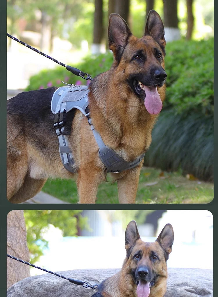 Dog Harness,Tactical Dog Harness with Handle,No-Pull Service Dog Vest with Hook & Loop Panels,Adjustable Dog Vest Harness for Wa